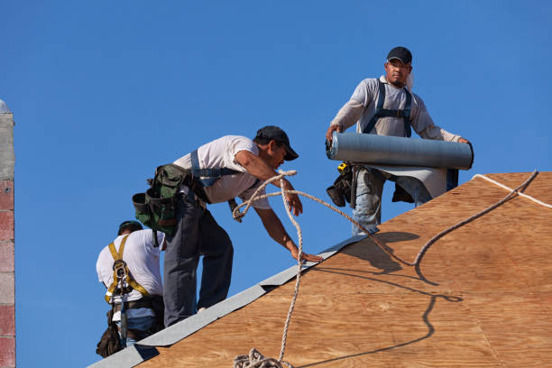 Best Shingle Roofing Installation  in Wabasso Beach, FL